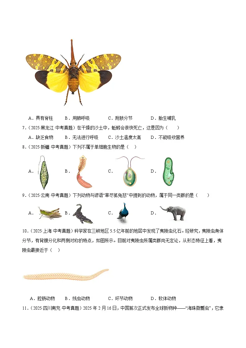 2025年中考生物真题分类汇编：专题03 动物的类群（全国通用）（第01期）（原卷版）第3页