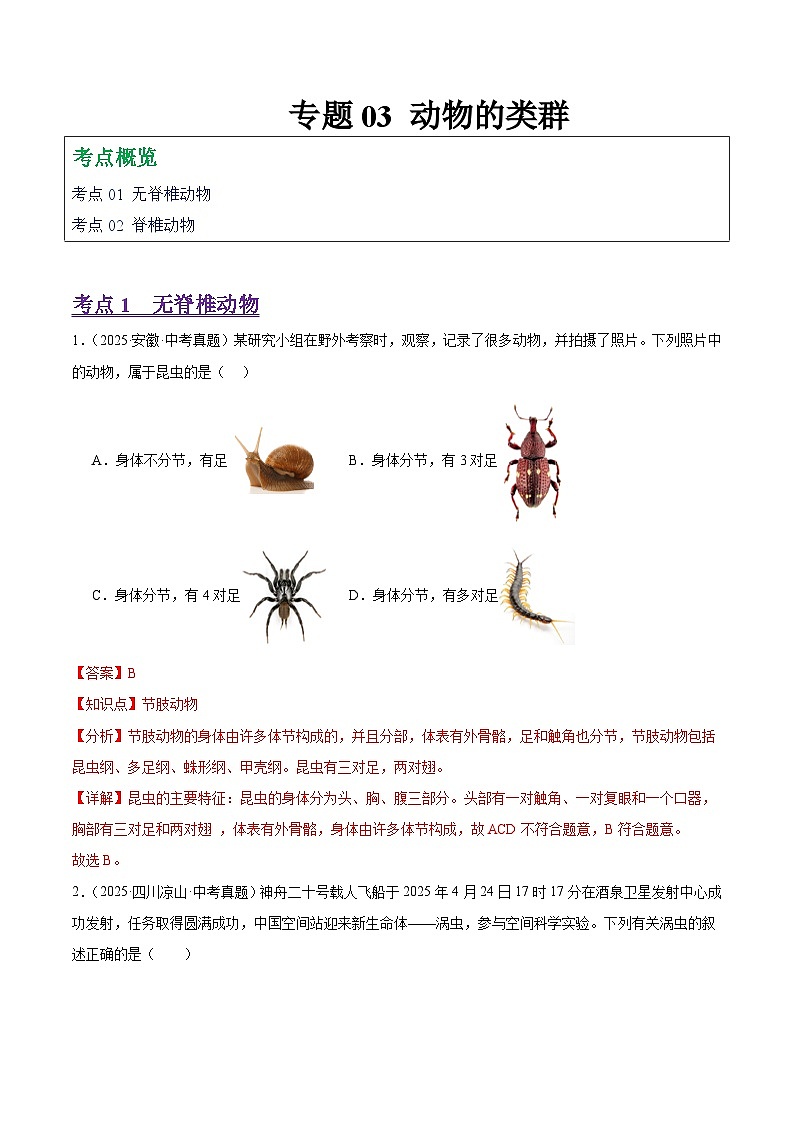 2025年中考生物真题分类汇编：专题03 动物的类群（全国通用）（第01期）（解析版）第1页
