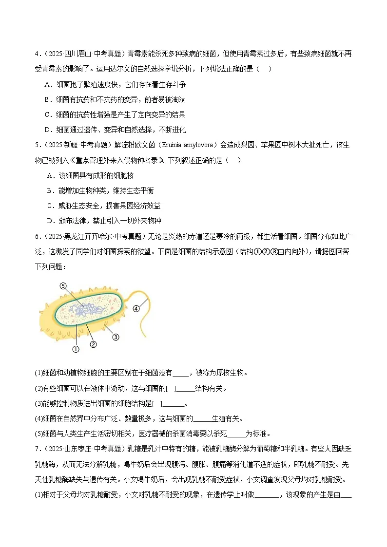 2025年中考生物真题分类汇编：专题04 微生物（全国通用）（第01期）（原卷版）第2页