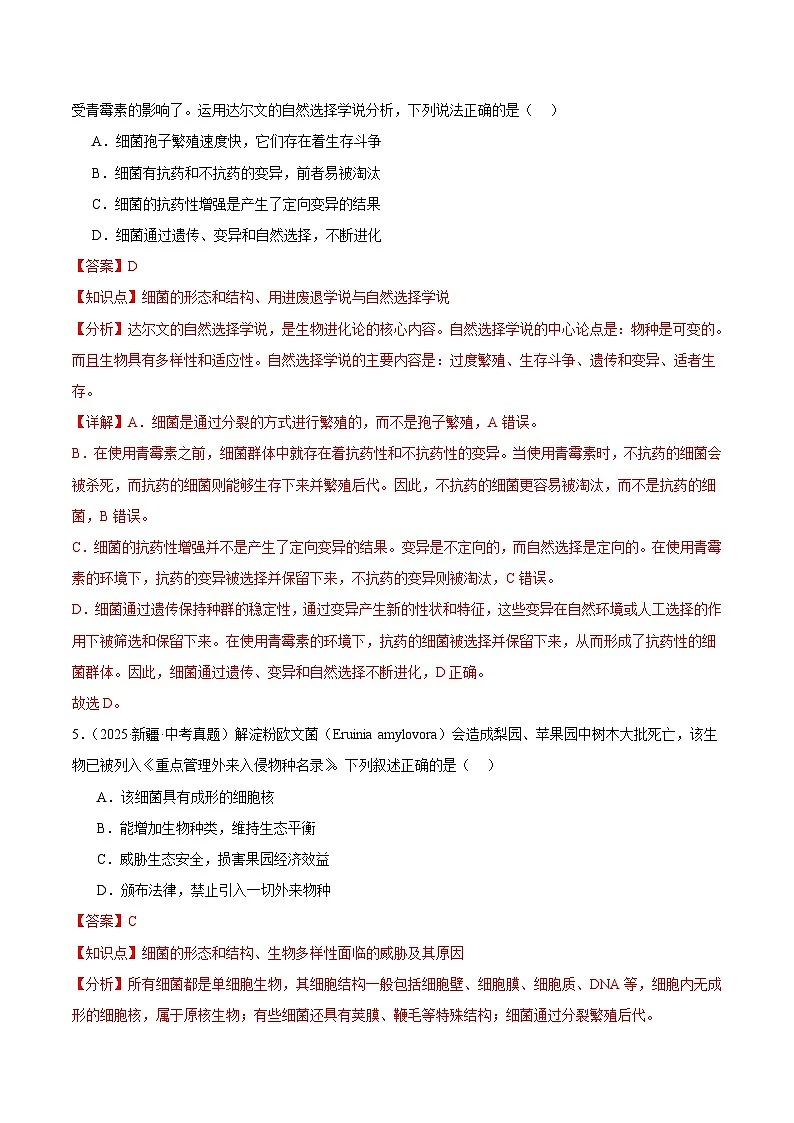 2025年中考生物真题分类汇编：专题04 微生物（全国通用）（第01期）（解析版）第3页