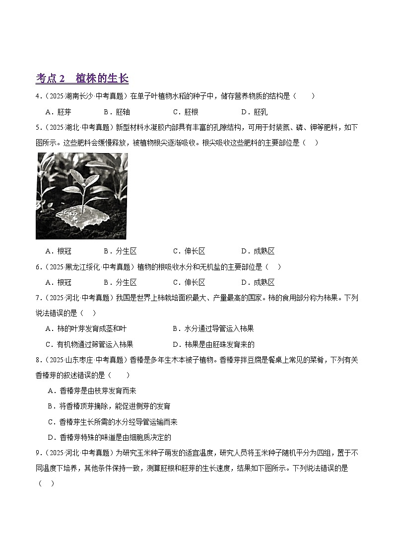 2025年中考生物真题分类汇编：专题06 被子植物的一生（全国通用）（第01期）（原卷版）第2页