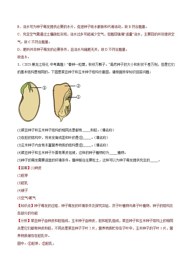 2025年中考生物真题分类汇编：专题06 被子植物的一生（全国通用）（第01期）（解析版）第2页