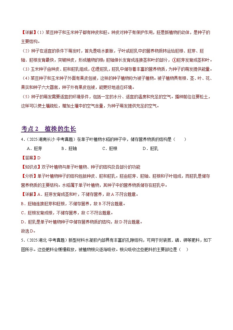 2025年中考生物真题分类汇编：专题06 被子植物的一生（全国通用）（第01期）（解析版）第3页