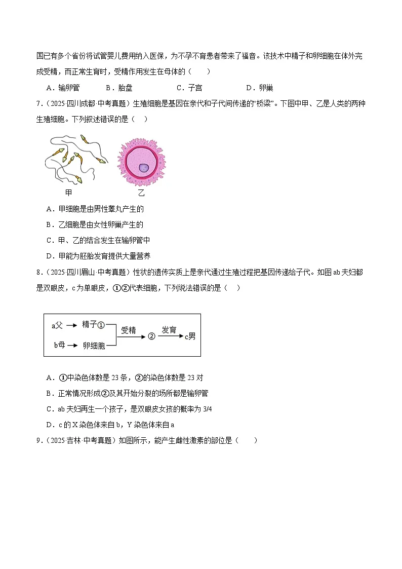 2025年中考生物真题分类汇编：专题08 人的生殖、人体营养与呼吸（全国通用）（第01期）（原卷版）第2页