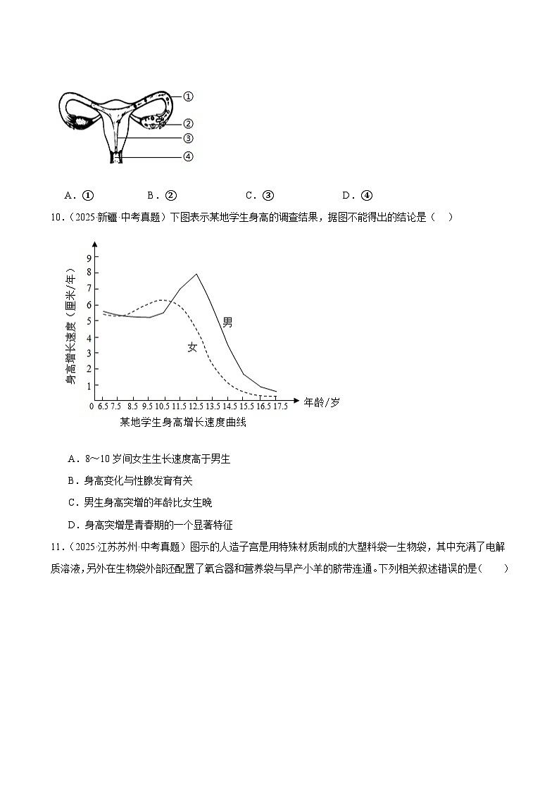 2025年中考生物真题分类汇编：专题08 人的生殖、人体营养与呼吸（全国通用）（第01期）（原卷版）第3页