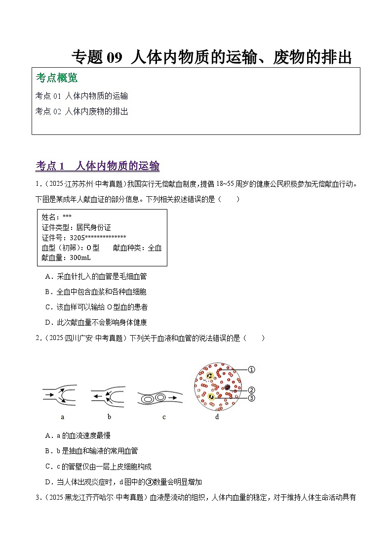 2025年中考生物真题分类汇编：专题09人体内物质的运输以及废物的排出（全国通用）（第01期）（原卷版）第1页