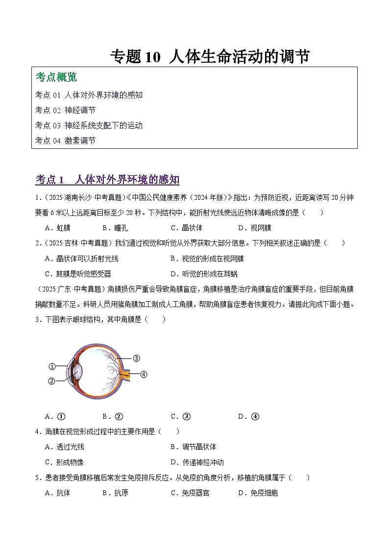2025年中考生物真题分类汇编：专题10 人体生命活动的调节（全国通用）（第01期）（原卷版）第1页