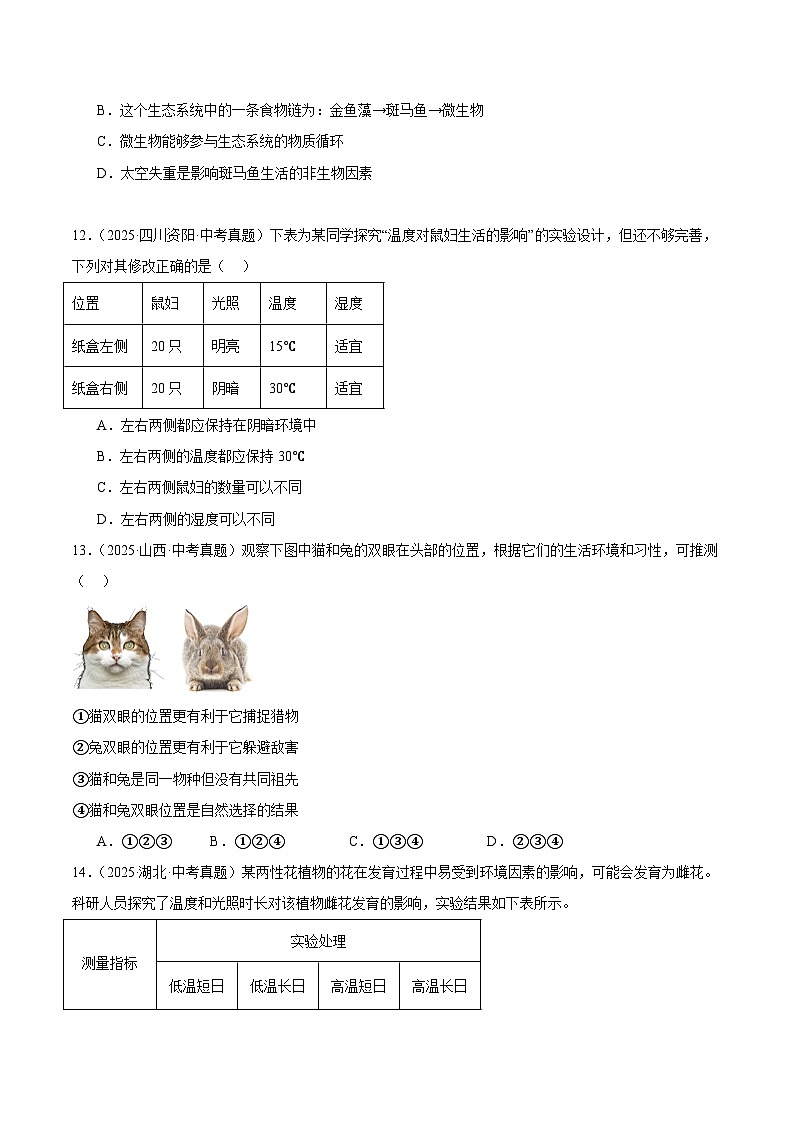 2025年中考生物真题分类汇编：专题12 生物与环境（全国通用）（第01期）（原卷版）第3页