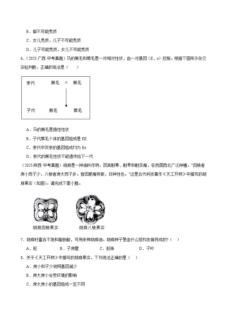 2025年中考生物真题分类汇编：专题14 生物的遗传和变异（全国通用）（第01期）（原卷版）第2页