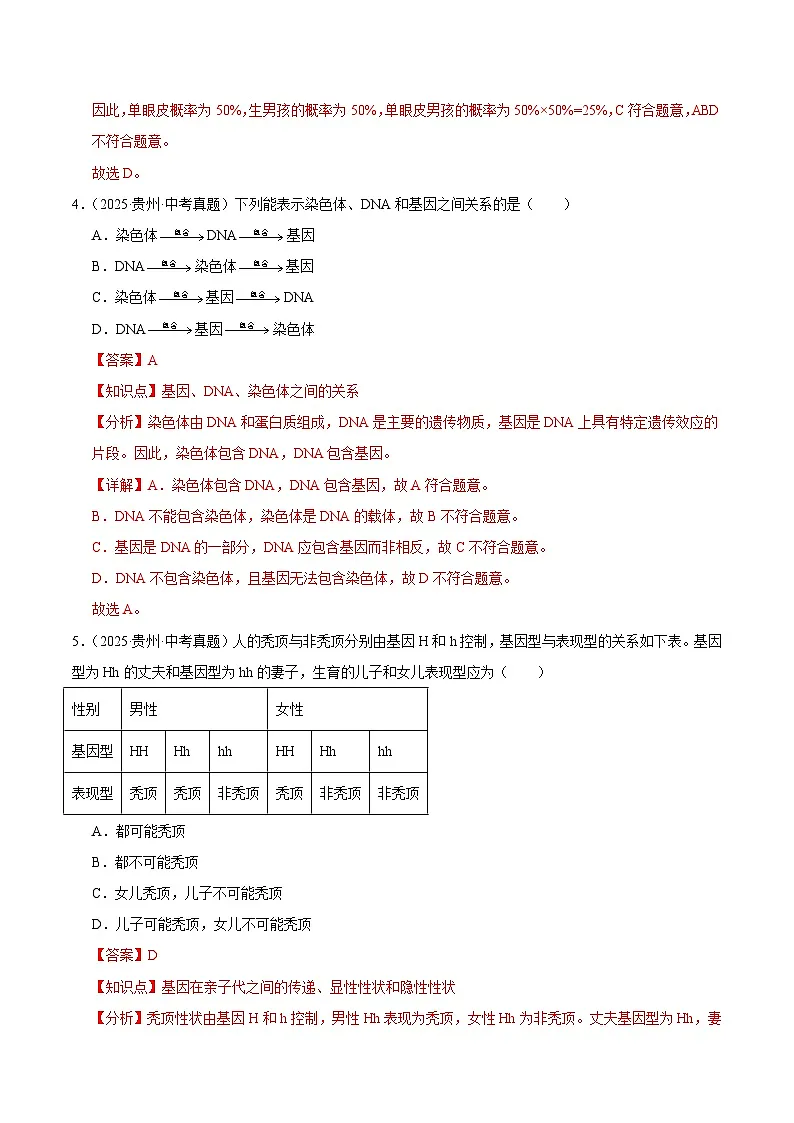 2025年中考生物真题分类汇编：专题14 生物的遗传和变异（全国通用）（第01期）（解析版）第3页