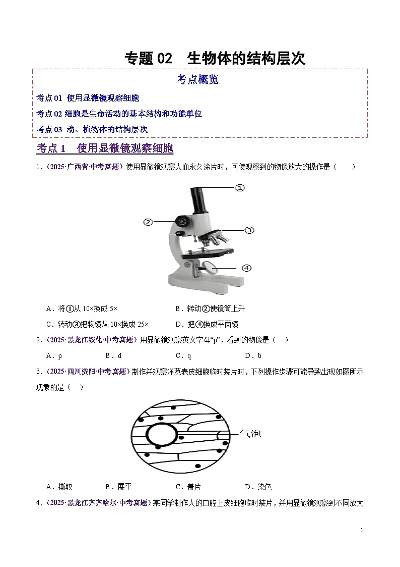 2025年中考生物真题分类汇编：专题02 生物体的结构层次（全国通用）（第02期）（原卷版）第1页