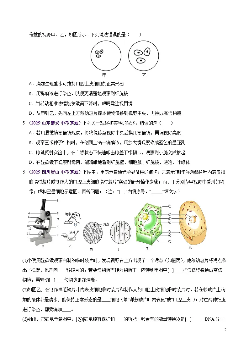 2025年中考生物真题分类汇编：专题02 生物体的结构层次（全国通用）（第02期）（原卷版）第2页