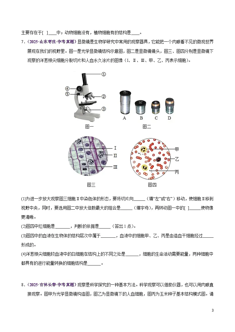 2025年中考生物真题分类汇编：专题02 生物体的结构层次（全国通用）（第02期）（原卷版）第3页