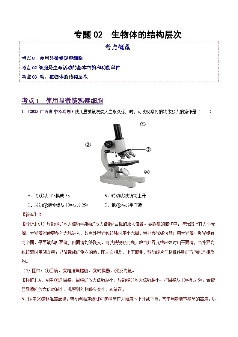 2025年中考生物真题分类汇编：专题02 生物体的结构层次（全国通用）（第02期）（解析版）第1页
