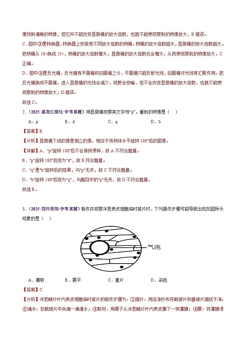 2025年中考生物真题分类汇编：专题02 生物体的结构层次（全国通用）（第02期）（解析版）第2页