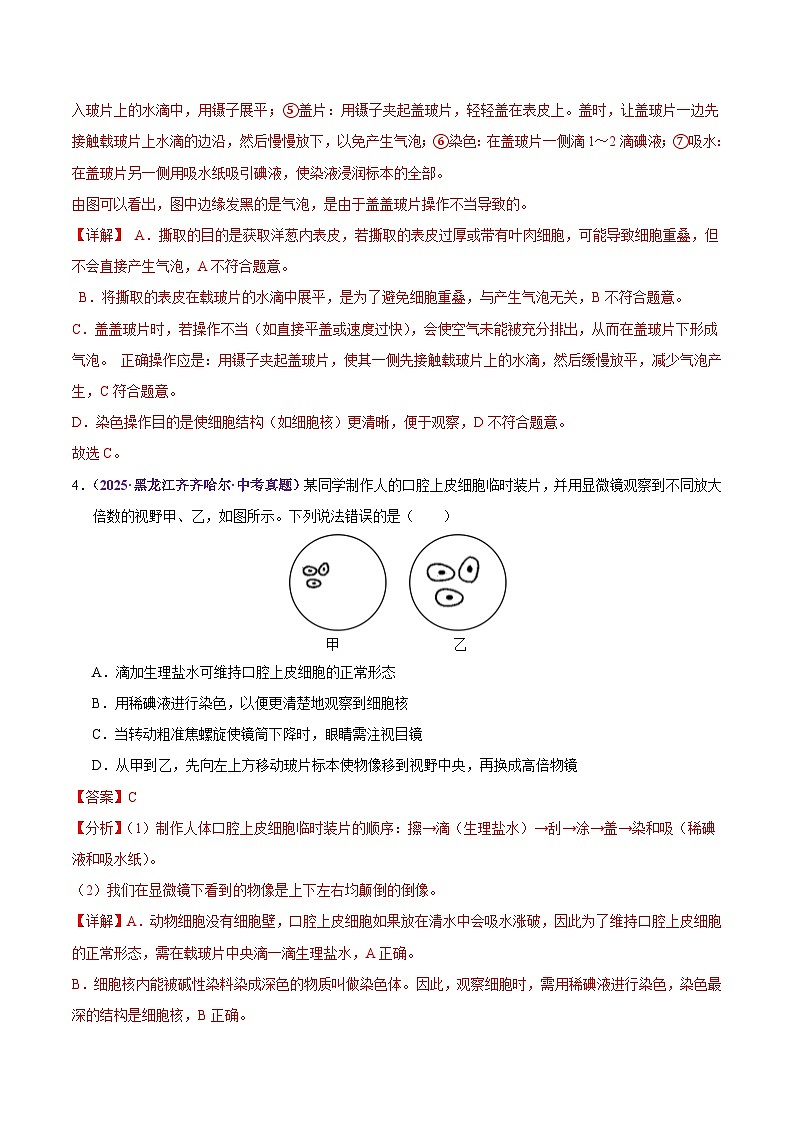 2025年中考生物真题分类汇编：专题02 生物体的结构层次（全国通用）（第02期）（解析版）第3页