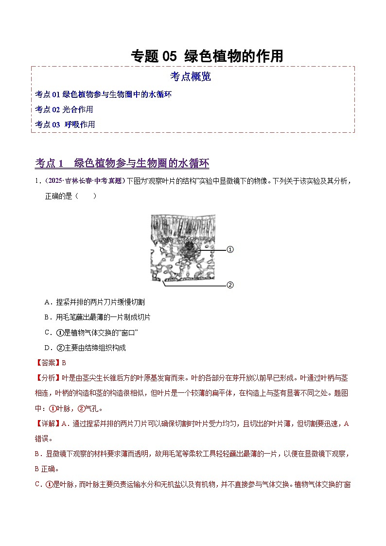 2025年中考生物真题分类汇编：专题05 绿色植物的作用（全国通用）（第02期）（解析版）第1页