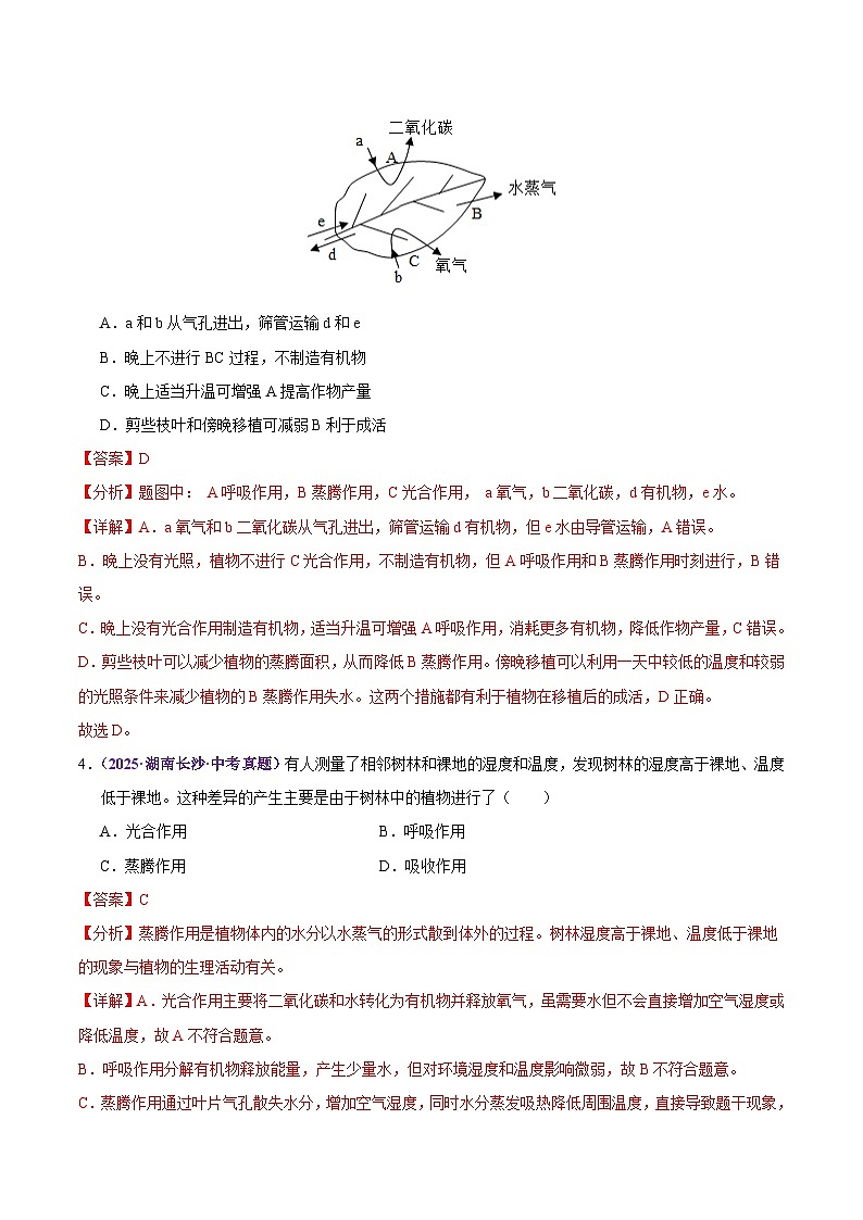 2025年中考生物真题分类汇编：专题05 绿色植物的作用（全国通用）（第02期）（解析版）第3页