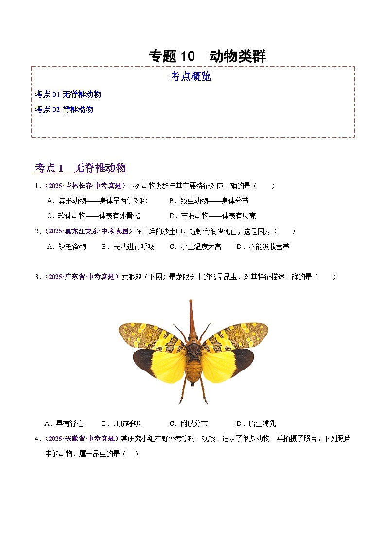 2025年中考生物真题分类汇编：专题10 动物类群（全国通用）（第02期）（原卷版）第1页