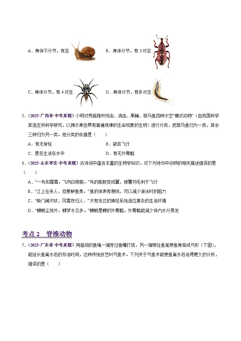 2025年中考生物真题分类汇编：专题10 动物类群（全国通用）（第02期）（原卷版）第2页