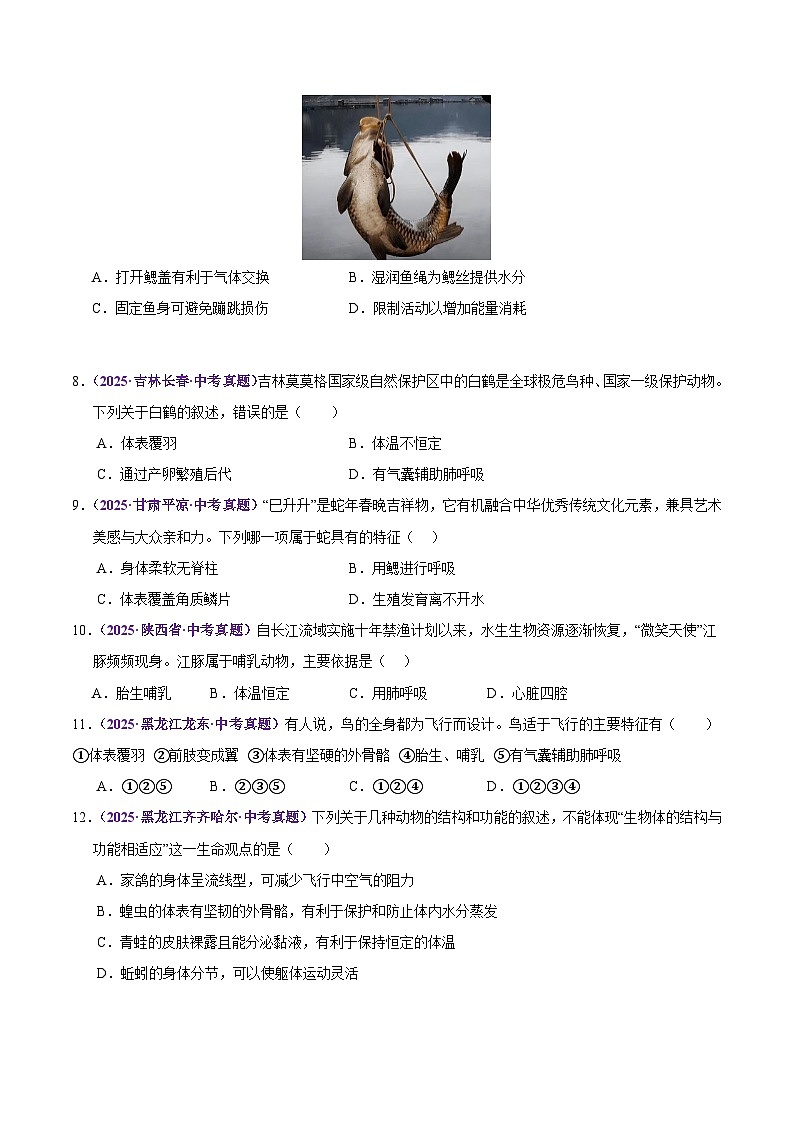 2025年中考生物真题分类汇编：专题10 动物类群（全国通用）（第02期）（原卷版）第3页