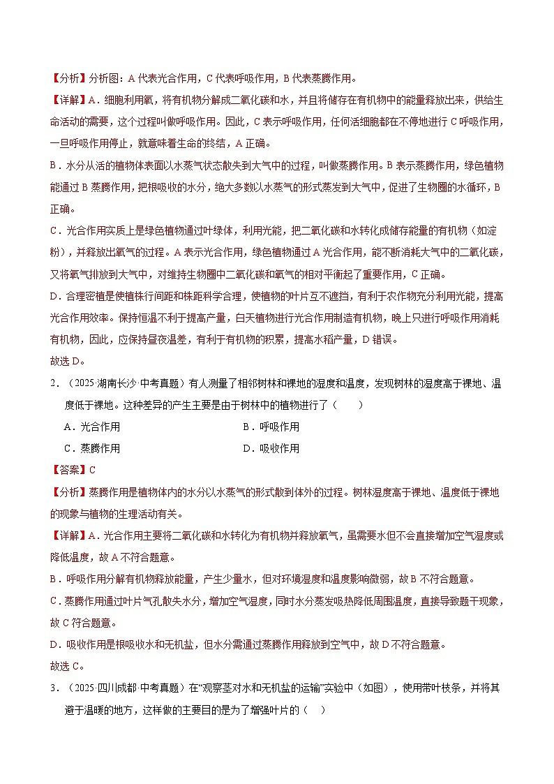 三年（2023-2025）中考生物真题分类汇编：专题04 绿色植物的作用（全国通用）（解析版）第2页