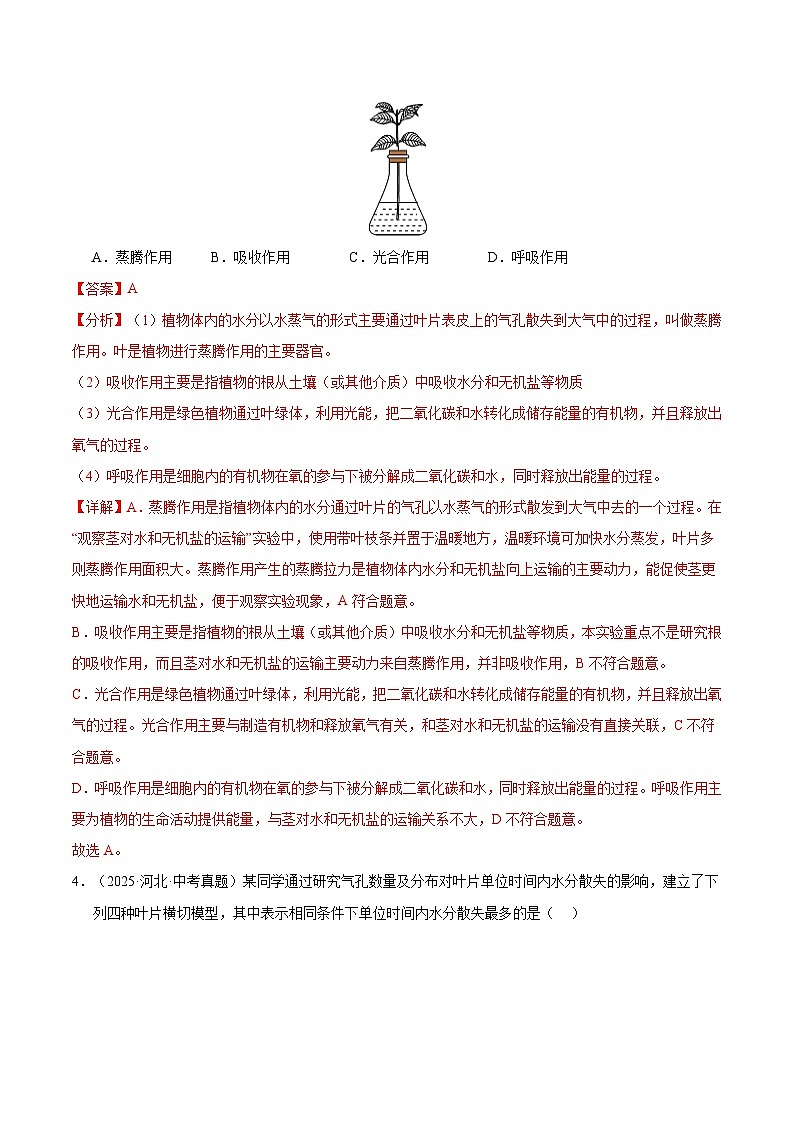 三年（2023-2025）中考生物真题分类汇编：专题04 绿色植物的作用（全国通用）（解析版）第3页