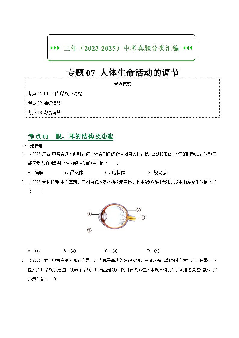 三年（2023-2025）中考生物真题分类汇编：专题07 人体生命活动的调节（全国通用）（原卷版）第1页