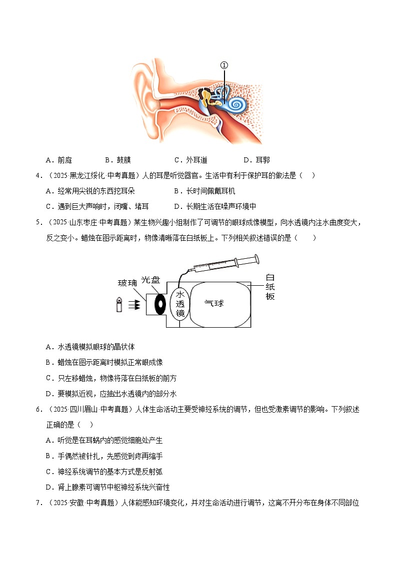 三年（2023-2025）中考生物真题分类汇编：专题07 人体生命活动的调节（全国通用）（原卷版）第2页