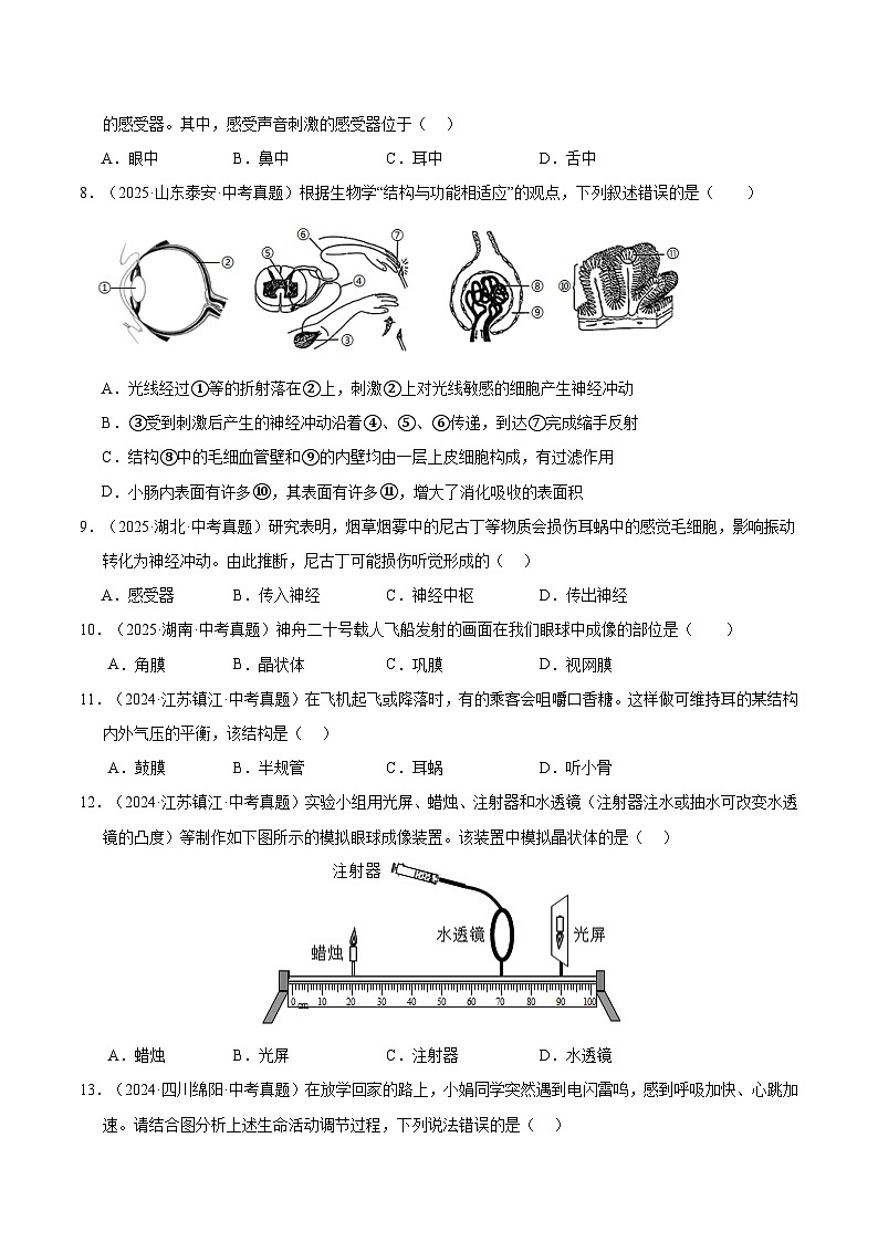 三年（2023-2025）中考生物真题分类汇编：专题07 人体生命活动的调节（全国通用）（原卷版）第3页