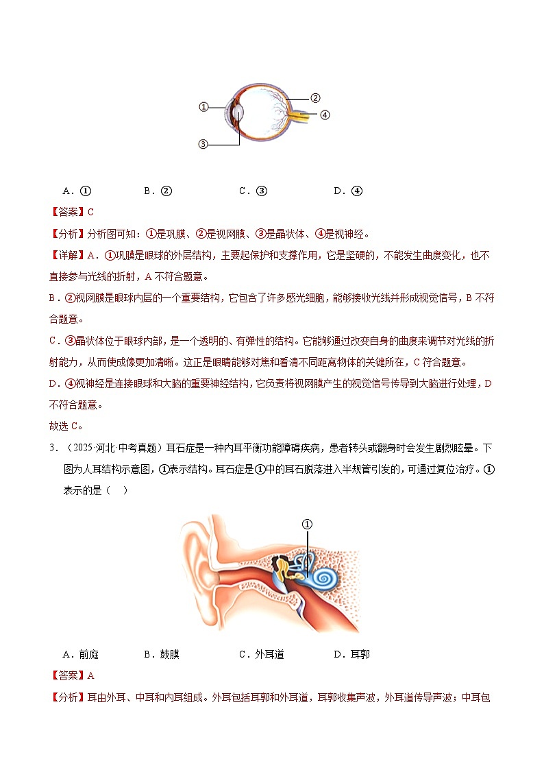 三年（2023-2025）中考生物真题分类汇编：专题07 人体生命活动的调节（全国通用）（解析版）第2页