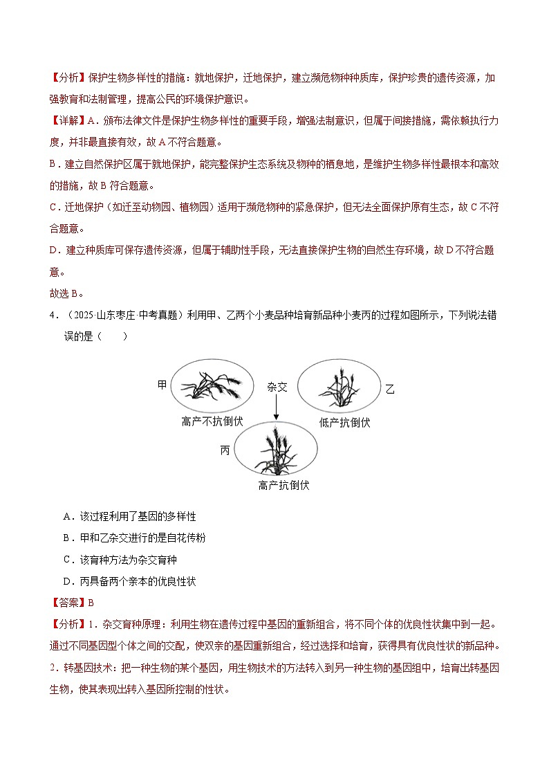三年（2023-2025）中考生物真题分类汇编：专题10 生物进化与生物多样性的保护（全国通用）（解析版）第3页