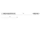 初中生物新人教版八年級上冊第四單元第六章第二節(jié)第二課時 神經(jīng)調(diào)節(jié)的基本方式作業(yè)課件（含答案）（2025秋）