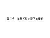初中生物新人教版八年級(jí)上冊第四單元第六章第三節(jié) 神經(jīng)系統(tǒng)支配下的運(yùn)動(dòng)作業(yè)課件（含答案）（2025秋）