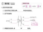 初中生物新人教版八年級(jí)上冊第四單元第六章第三節(jié) 神經(jīng)系統(tǒng)支配下的運(yùn)動(dòng)作業(yè)課件（含答案）（2025秋）