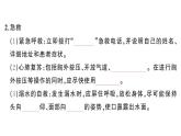 初中生物新人教版八年級上冊第四單元第七章第三節(jié) 用藥與急救作業(yè)課件（含答案）（2025秋）