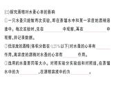 初中生物新人教版八年級上冊第四單元第七章第四節(jié) 選擇健康的生活方式作業(yè)課件（含答案）（2025秋）