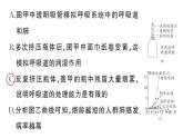 初中生物新人教版八年級(jí)上冊(cè)第四單元第七章綜合實(shí)踐項(xiàng)目 健康生活宣傳展演作業(yè)課件（含答案）（2025秋）