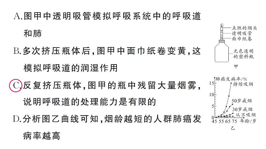 初中生物新人教版八年级上册第四单元第七章综合实践项目 健康生活宣传展演作业课件（含答案）（2025秋）第4页