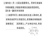 初中生物新人教版八年級(jí)上冊(cè)第四單元第七章綜合實(shí)踐項(xiàng)目 健康生活宣傳展演作業(yè)課件（含答案）（2025秋）