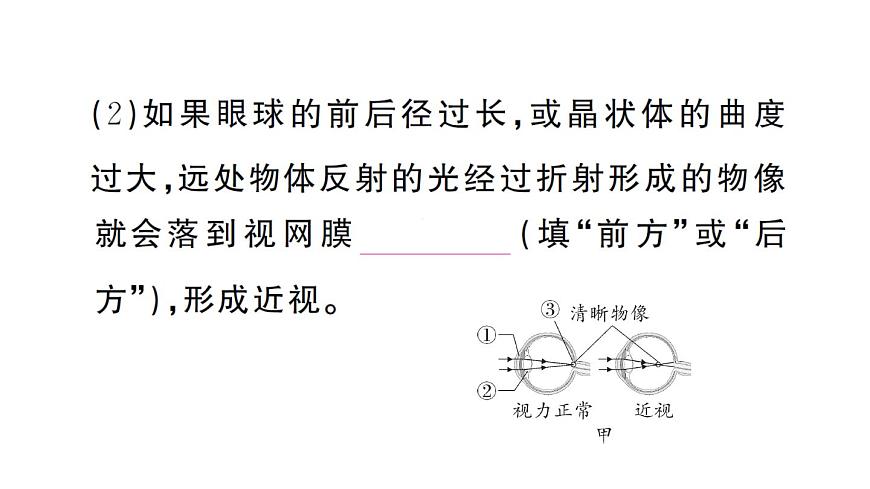 初中生物新人教版八年级上册第四单元第七章综合实践项目 健康生活宣传展演作业课件（含答案）（2025秋）第6页