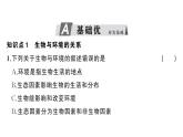 初中生物新人教版八年級(jí)上冊(cè)第五單元第一章第一節(jié) 生物與環(huán)境的相互作用作業(yè)課件（含答案）（2025秋）