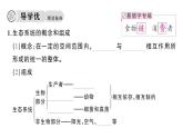 初中生物新人教版八年級上冊第五單元第一章第二節(jié) 生態(tài)系統(tǒng)的結(jié)構(gòu)和功能作業(yè)課件（含答案）（2025秋）