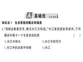 初中生物新人教版八年級上冊第五單元第一章第二節(jié) 生態(tài)系統(tǒng)的結(jié)構(gòu)和功能作業(yè)課件（含答案）（2025秋）