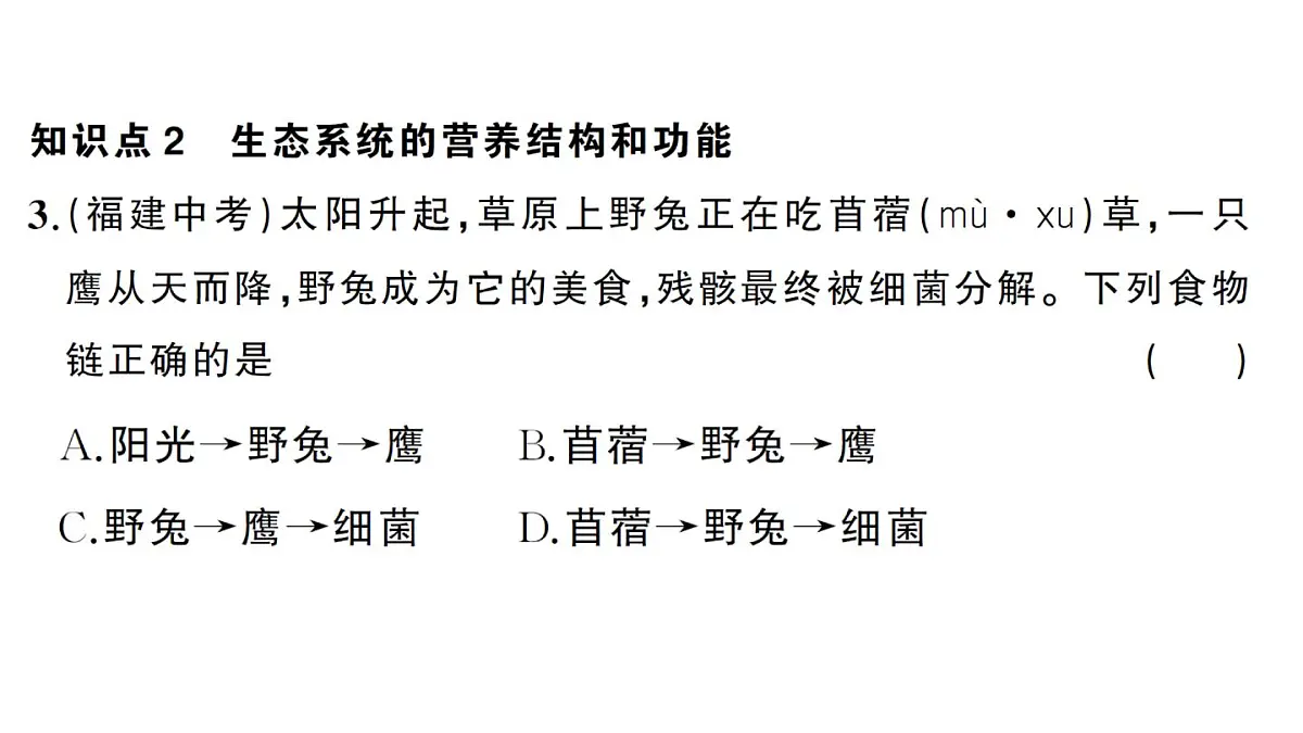 初中生物新人教版八年级上册第五单元第一章第二节 生态系统的结构和功能作业课件（含答案）（2025秋）第7页