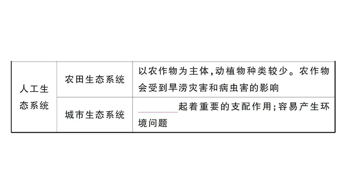 初中生物新人教版八年级上册第五单元第一章第三节 生物圈作业课件（含答案）（2025秋）第4页