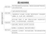 初中生物新人教版八年級上冊第五單元第一章綜合實踐項目 設(shè)計并制作生態(tài)瓶作業(yè)課件（含答案）（2025秋）