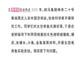 初中生物新人教版八年級上冊第五單元第一章綜合實踐項目 設(shè)計并制作生態(tài)瓶作業(yè)課件（含答案）（2025秋）