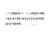 初中生物新人教版八年級上冊第五單元第一章綜合實踐項目 設(shè)計并制作生態(tài)瓶作業(yè)課件（含答案）（2025秋）