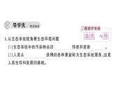初中生物新人教版八年級上冊第五單元第二章第一節(jié) 分析人類活動(dòng)對生態(tài)環(huán)境的影響作業(yè)課件（含答案）（2025秋）